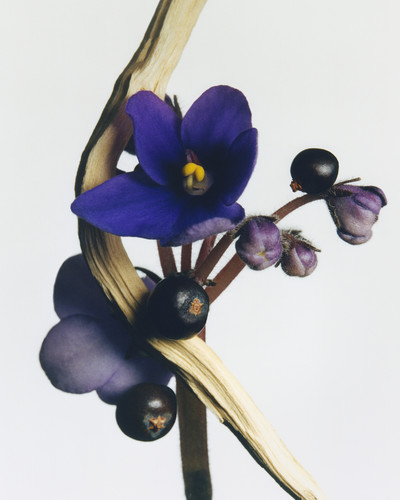 Massimo Dutti - © Lambert | Lambert