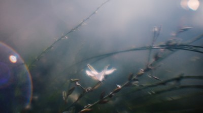 Moncler - © Lambert | Lambert