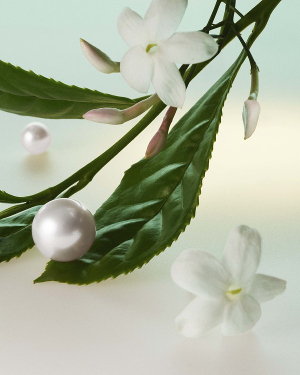 Tasaki - © Lambert | Lambert