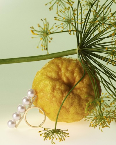 Tasaki - © Lambert | Lambert