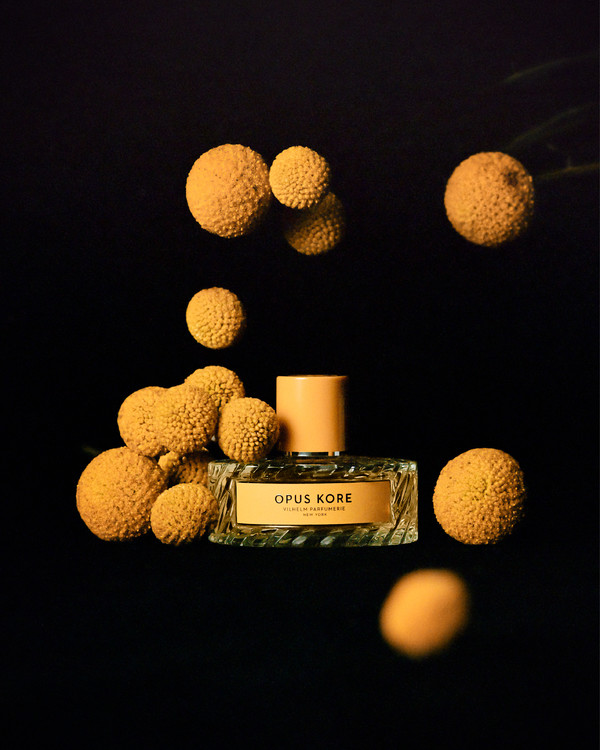 Vilhelm - © Lambert | Lambert