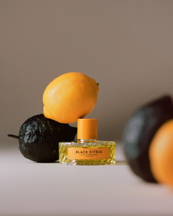 Vilhelm - © Lambert | Lambert