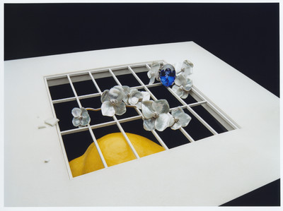 Vogue China - © Lambert | Lambert