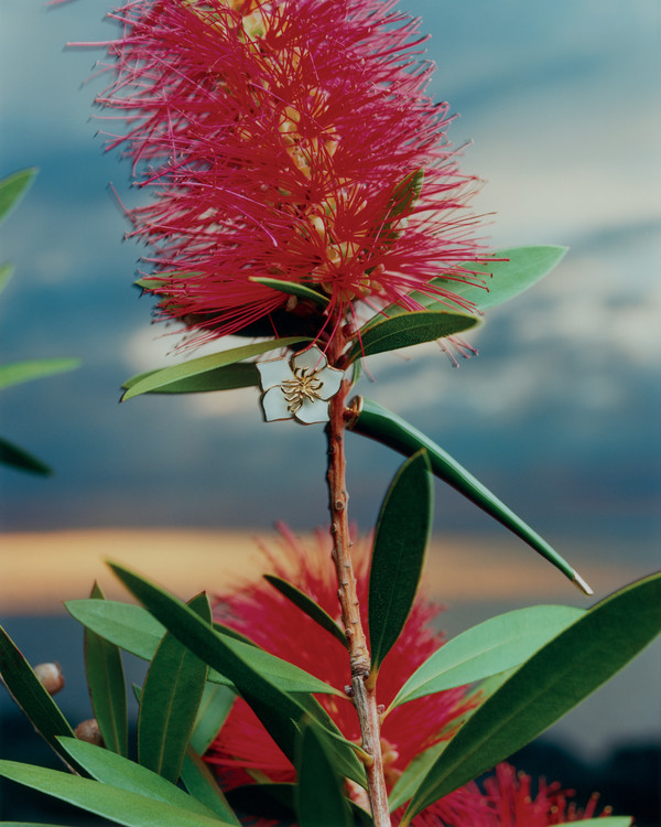 Vogue Ukraine - © Lambert | Lambert