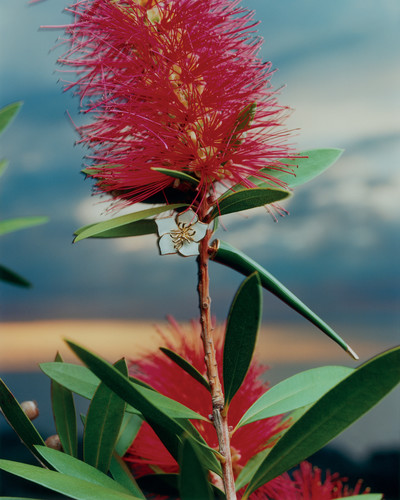 Vogue Ukraine - © Lambert | Lambert