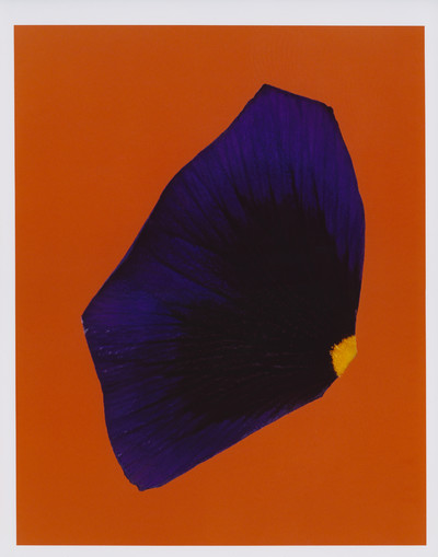 AMMI X LARA GILIBERTO - © Lambert | Lambert