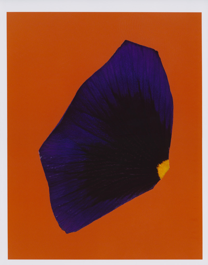 AMMI X LARA GILIBERTO - © Lambert | Lambert