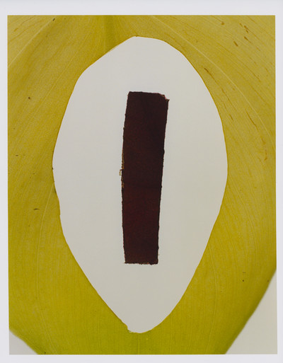 AMMI X LARA GILIBERTO - © Lambert | Lambert