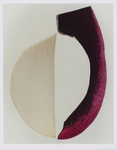 AMMI X LARA GILIBERTO - © Lambert | Lambert