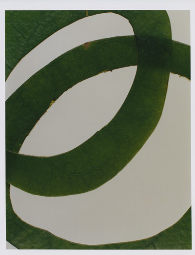 AMMI X LARA GILIBERTO - © Lambert | Lambert