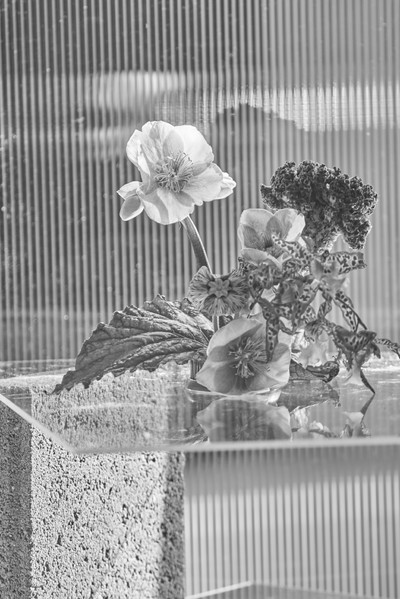 B&W w/ Melvin Israel - © Lambert | Lambert