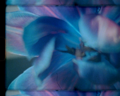 Bleu - Étude de nuances N°1 - © Lambert | Lambert
