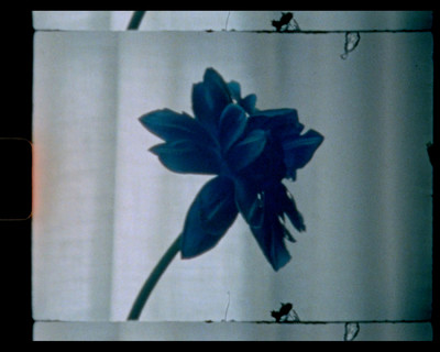 Bleu - Étude de nuances N°1 - © Lambert | Lambert