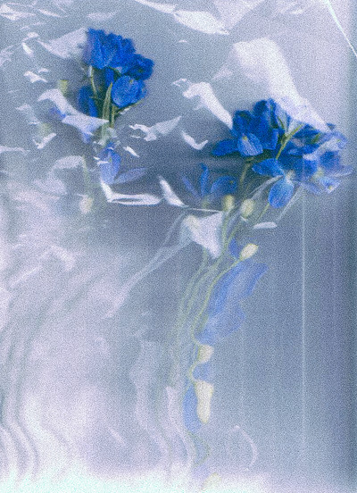 Blurred - © Lambert | Lambert