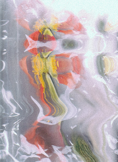 Blurred - © Lambert | Lambert