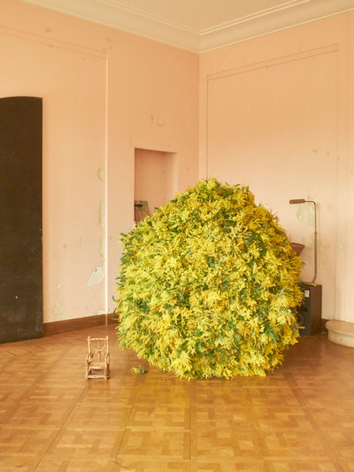Boule - With Melvin Israël - © Lambert | Lambert