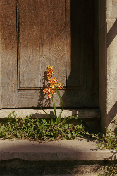 Carton Magazine w/ Victoria E. Paternó - © Lambert | Lambert