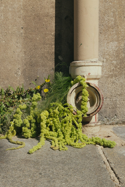 Carton Magazine w/ Victoria E. Paternó - © Lambert | Lambert