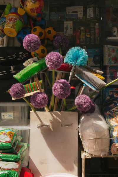 Carton Magazine w/ Victoria E. Paternó - © Lambert | Lambert