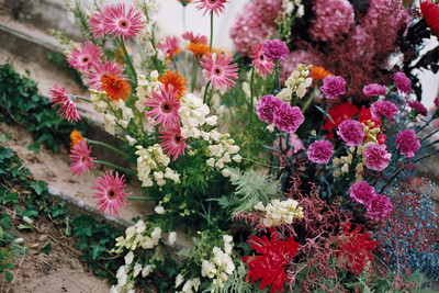 CLIP FIONA WALDEN - © Lambert | Lambert