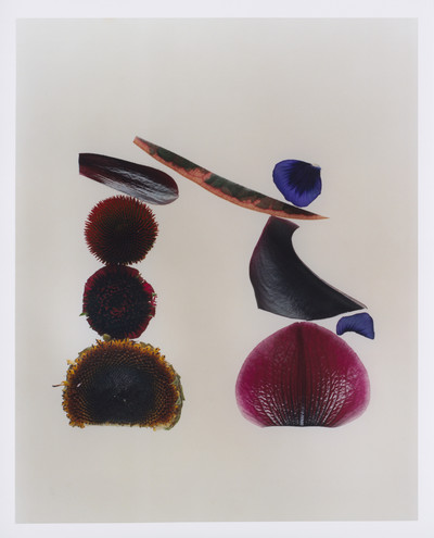 Bound Magazine - © Lambert | Lambert