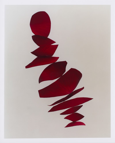 Bound Magazine - © Lambert | Lambert