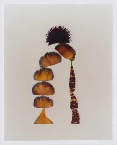 Bound Magazine - © Lambert | Lambert