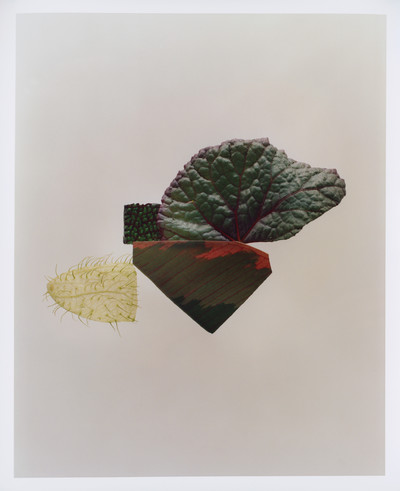 Bound Magazine - © Lambert | Lambert