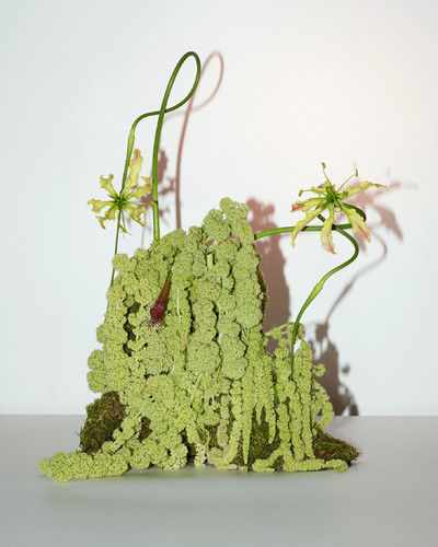 Fleurs w/ Charlotte Krieger - © Lambert | Lambert