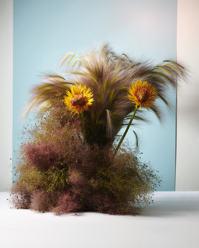 Fleurs w/ Charlotte Krieger - © Lambert | Lambert
