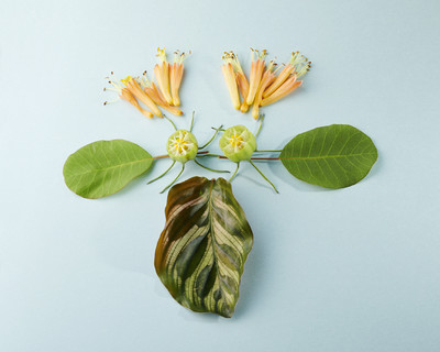 Fleurs w/ Charlotte Krieger - © Lambert | Lambert