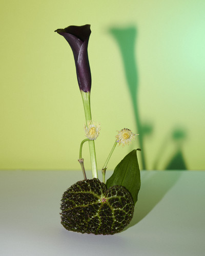 Fleurs w/ Charlotte Krieger - © Lambert | Lambert