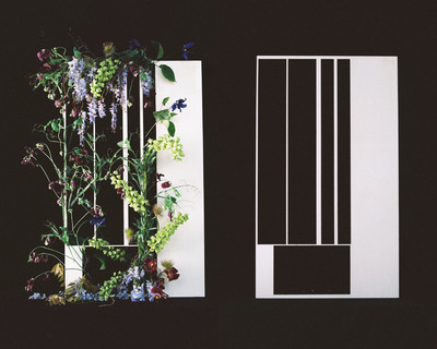 Fleurs w/ Valentin Abad - © Lambert | Lambert