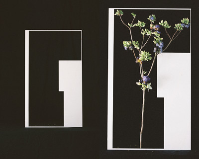 Fleurs w/ Valentin Abad - © Lambert | Lambert