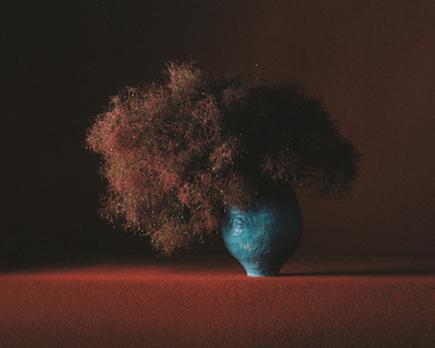 Fleurs w/ Valentin Abad - © Lambert | Lambert