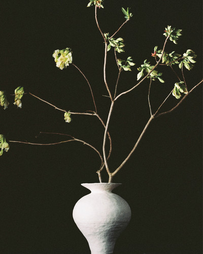 Fleurs w/ Valentin Abad - © Lambert | Lambert