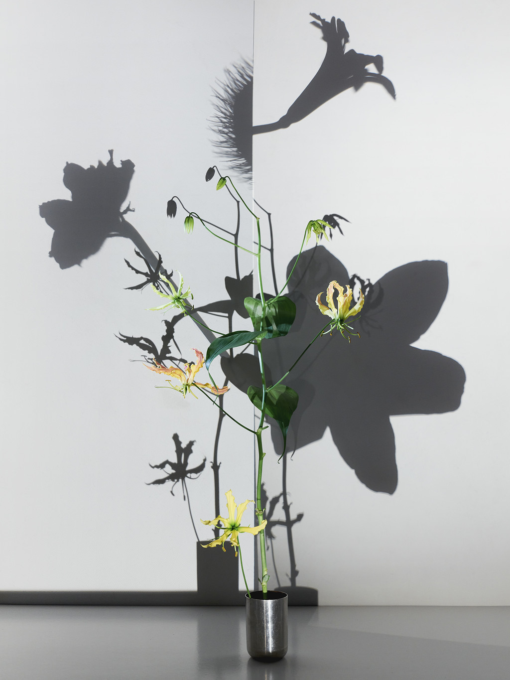 Flowers - Gr&eacute;goire Alexandre - © Lambert | Lambert