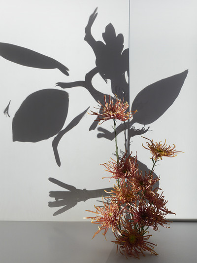 Flowers - Grégoire Alexandre - © Lambert | Lambert
