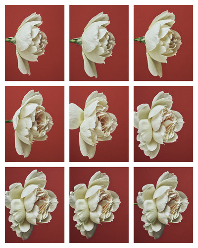 Georg Jensen - © Lambert | Lambert