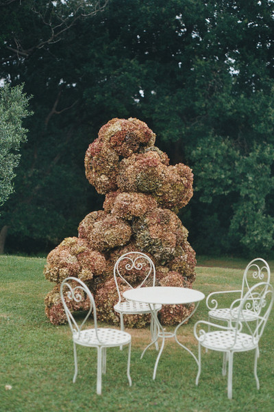 Giant hortensia - © Lambert | Lambert