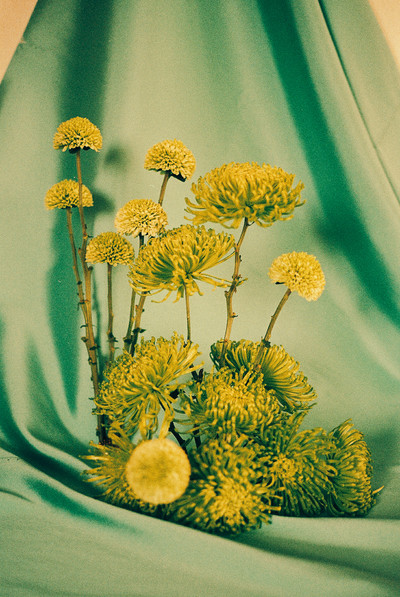 Pin - © Lambert | Lambert