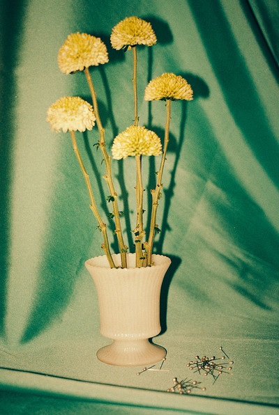 Pin - © Lambert | Lambert