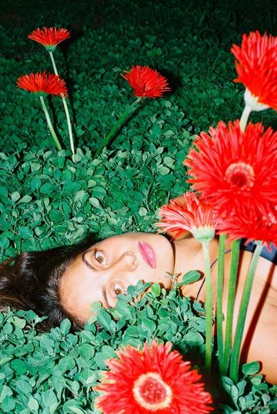 Red gerbera - © Lambert | Lambert