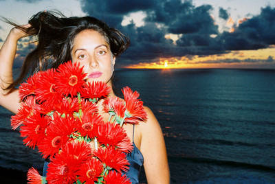 Red gerbera - © Lambert | Lambert