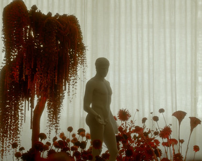 Rouge - Étude de nuances N°3 - © Lambert | Lambert