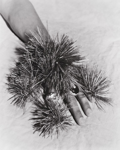 Simuero w/ Ruppert Tapper - © Lambert | Lambert