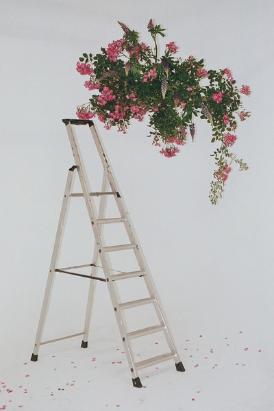 Suspension - © Lambert | Lambert