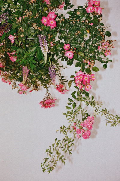 Suspension - © Lambert | Lambert