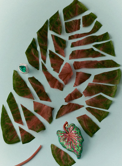 Vanity Fair - © Lambert | Lambert