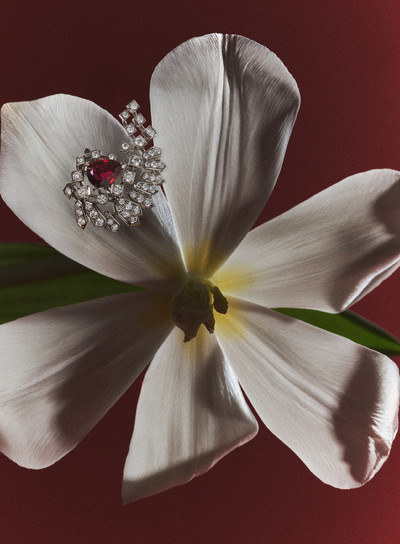 Vanity Fair - © Lambert | Lambert